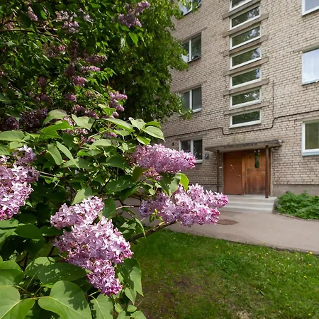 Quiet Next To Old Riga